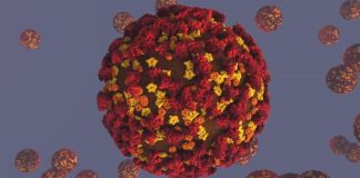 Coronavirus