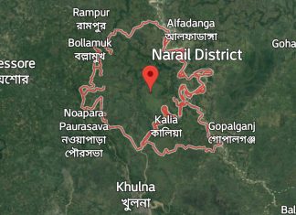 নড়াইলে অগ্নিকান্ডে