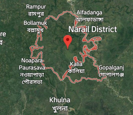 নড়াইলে অগ্নিকান্ডে