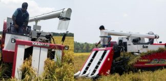 নড়াইলে অত্যাধুনিক কম্বাইন্ড হার্ভেস্টার মেশিনের মাধ্যমে ধান কা*টার উদ্বোধন