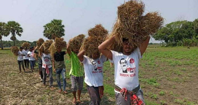 এমপি মাশরাফীর আহবানে ধান কে*টে বাড়ি পৌঁছে দিল নড়াইল ভিক্টোরিয়া কলেজ ছাত্রলীগ