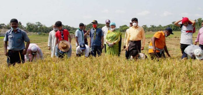 নড়াইলের লোহাগড়ায় কৃষকের ধান কা*টলেন জেলা প্রশাসক