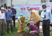 নড়াইলে বঙ্গবন্ধু'র জন্মশতবার্ষিকী উপলক্ষ্যে বৃক্ষ রোপণ কর্মসূচির উদ্বোধন