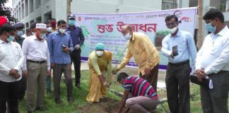 নড়াইলে বঙ্গবন্ধু'র জন্মশতবার্ষিকী উপলক্ষ্যে বৃক্ষ রোপণ কর্মসূচির উদ্বোধন