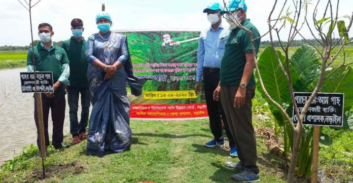 বঙ্গবন্ধু'র জন্ম শতবর্ষ উদযাপনে বাংলাদেশ পানি উন্নয়ন বোর্ড নড়াইলের বৃক্ষ রোপন