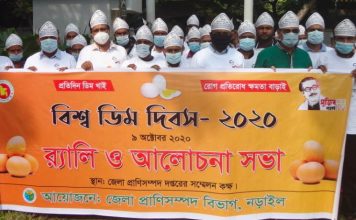নড়াইলে বিশ্ব ডিম দিবস পালিত