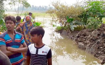 নড়াইলে ২১টি মা'ছের ঘের কে'টে দে'য়া হয়েছে
