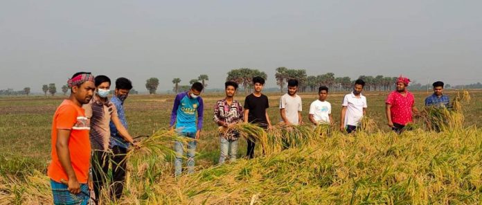 নড়াইলে অস/হায় কৃষকের পাশে কাঁ/চি হাতে সদর জেলা ছাত্রলীগ