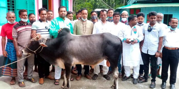 কালিয়ায় বঙ্গবন্ধু, প্রধানমন্ত্রী শেখ হাসিনা ও শেখ মনির পক্ষে গরু কোরবানি