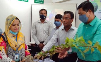 মুজিব বর্ষ উপলক্ষে নড়াইলে কৃষকদের মাঝে ৩শত ফলের চারা বিতরণ