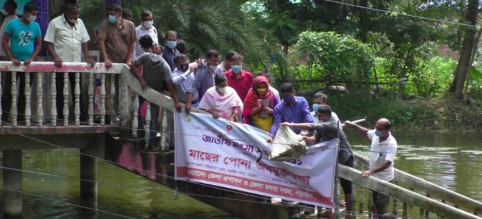 নড়াইলে জাতীয় মৎস্য সপ্তাহ-২০২১ এর উদ্বোধন