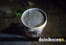 যশোরে থেকে ৪টি বো/মা উদ্ধার