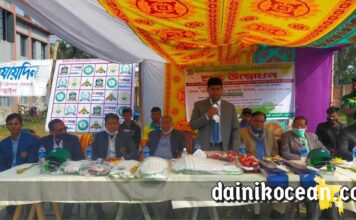 নড়াইলে অনূর্ধ্ব-১৩ ও ১৬ ক্রিকেট টুর্নামেন্টের উদ্বোধন