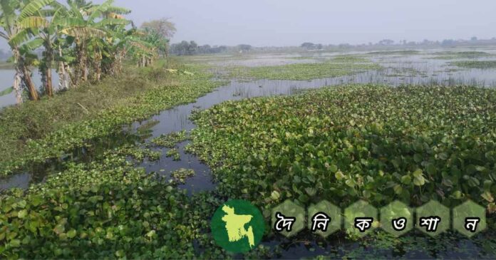 নড়াইলের ৩টি বিলের জলাবদ্ধতা নিরসনে নেই কোন উদ্যোগ