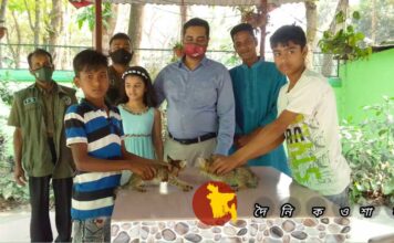 গৌরীপুরে মেছোবাঘের বাচ্চা উদ্ধার