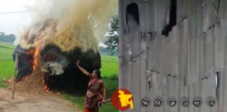 গৌরীপুরে অগ্নিসংযোগ ও হামলার ঘটনায় মামলা