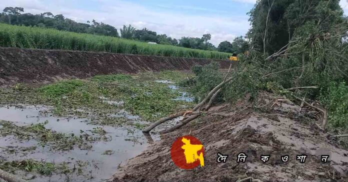 লোহাগড়ায় মুক্তিযোদ্ধার শতাধিক গাছ ও ফসল ভেকু দিয়ে নষ্ট করেছে ঠিকাদার, অভিযোগ দায়ের