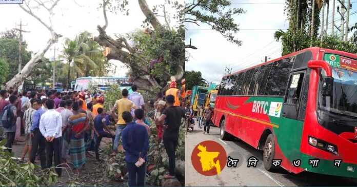 নড়াইলে ঘূর্ণিঝড় সিত্রাংয়ে বটগাছ উপড়ে পড়ে সড়কে ১৮ ঘন্টা যান চলাচল বন্ধ থাকার পর শুরু