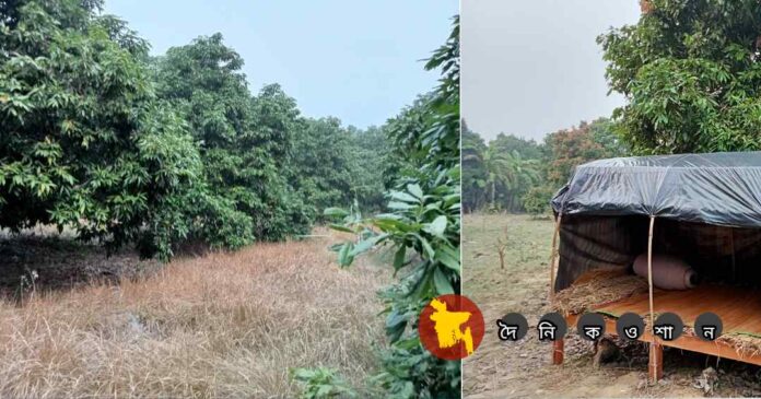 বাঘারপাড়ায় আদালতের আদেশ অমান্য করে জমি দখল চেষ্টার অভিযোগ
