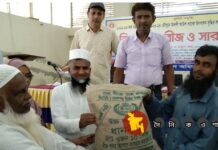 লোহাগড়ায় বিনামুল্যে বীজ ও সার বিতরণ