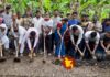 নড়াইলে প্রথমবারের মত প্রত্নতত্ব অধিদপ্তরের খনন কাজের উদ্বোধন