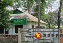 জনপ্রতিনিধি ও ইউএনওকে নিয়ে বন কর্মকর্তার বেফাঁস মন্তব্য!