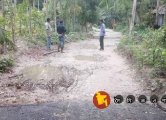 লোহাগড়ায় সরকারী রাস্তা পাকাকরণে বাঁধা, ১৪৪ধারা জারী