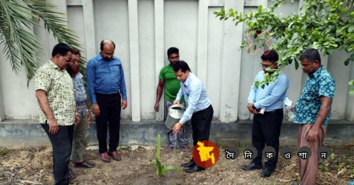 নড়াইলে বজ্রপাত নিরোধে সাড়ে ৪ হাজার গাছ রোপণ করার উদ্যোগ